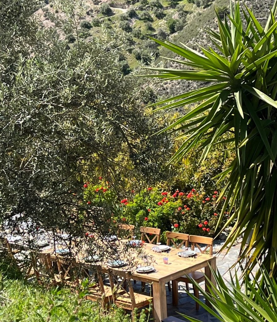 Finca Floretta terras