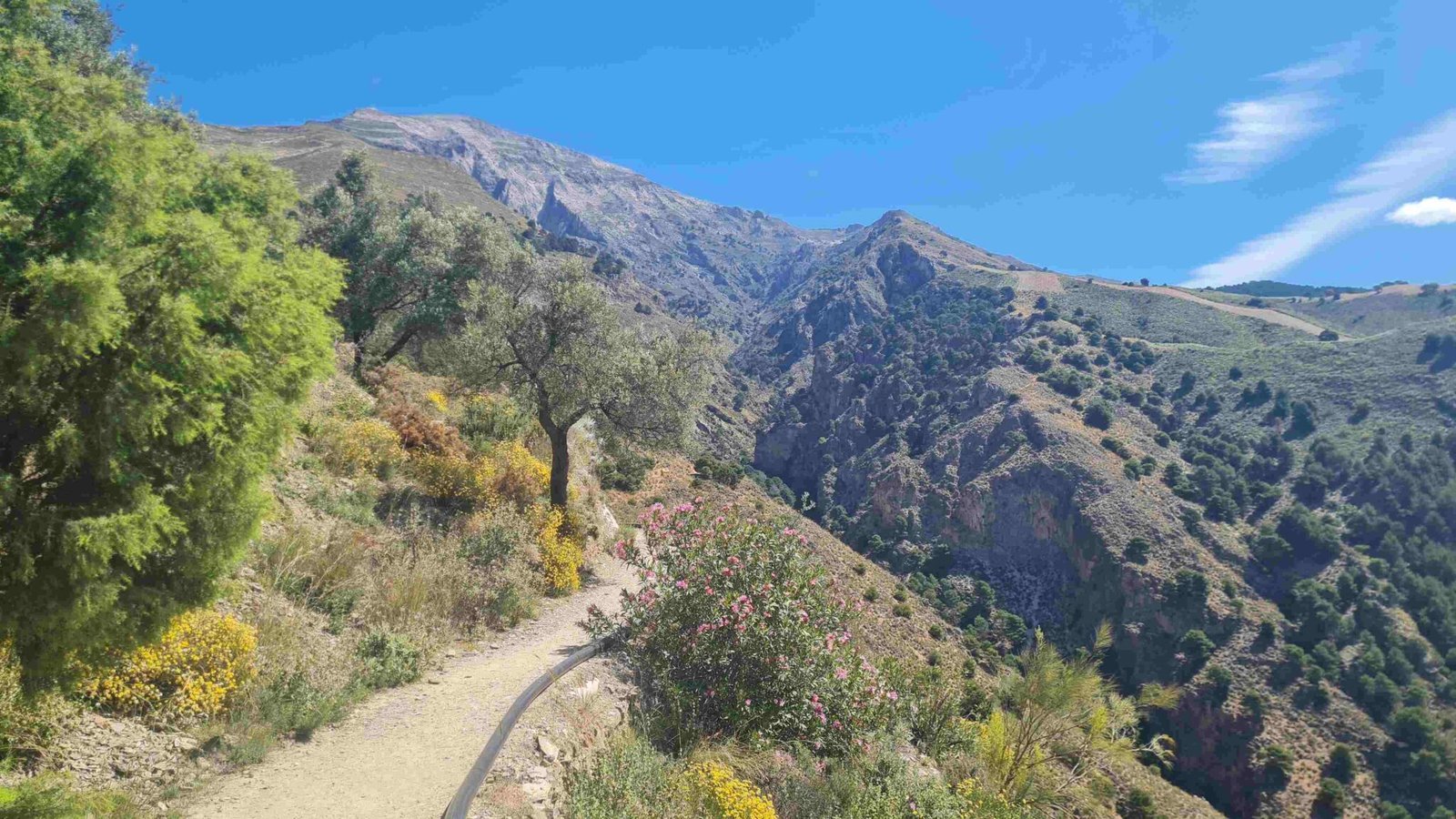 Wandelpad El Saltillo
