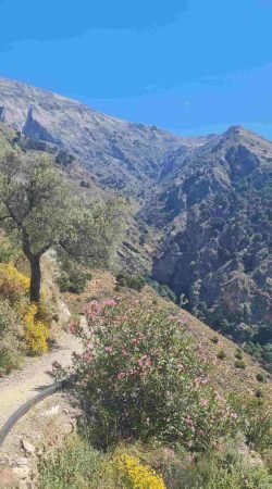 Wandelpad El Saltillo