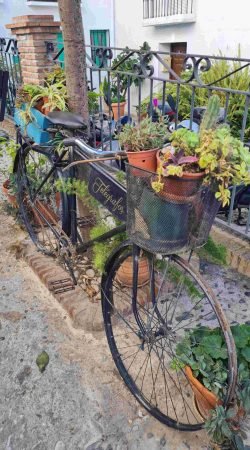 Frigiliana fiets met bloemen