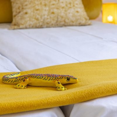 Gele hagedis op bed