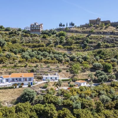 Finca Floretta buiten-42