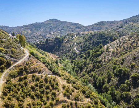 Omgeving Finca Floretta