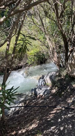 Natuurgebied Finca Floretta